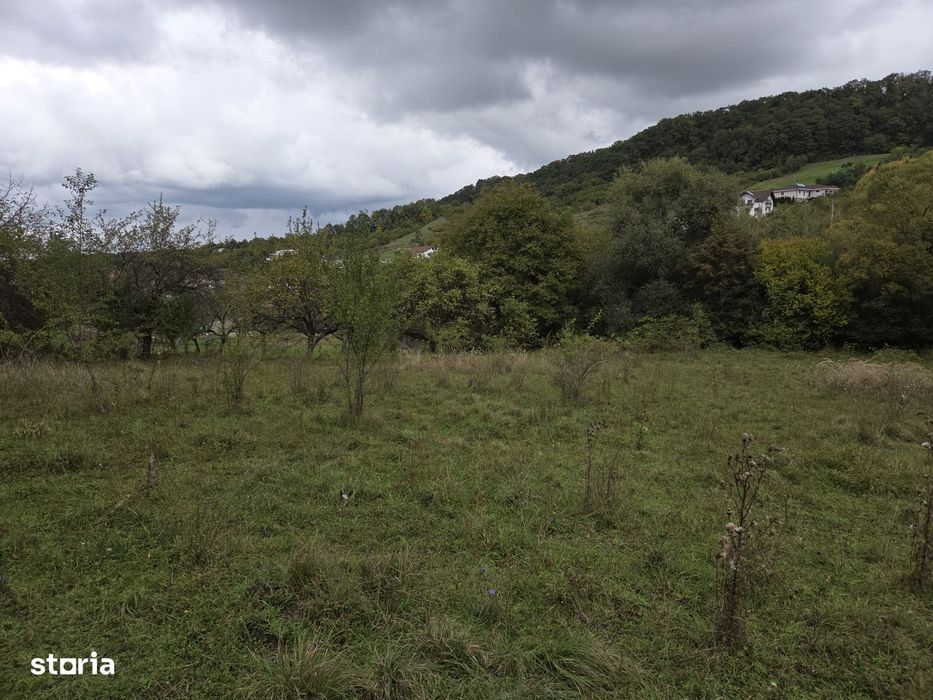 Teren extravilan de vanzare Valea Jelnei-Bistrita (langa intravilan)