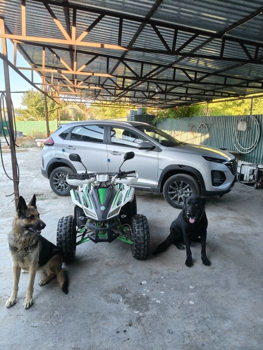 Квадроцикл 150 кубов