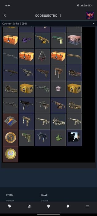 Steam аккаунт C's 2