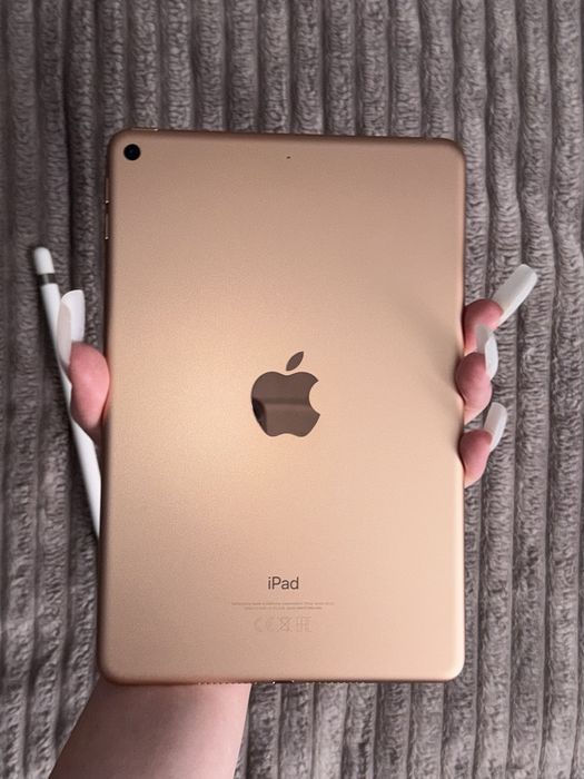 Ipad mini 5 Розовый apple pencil