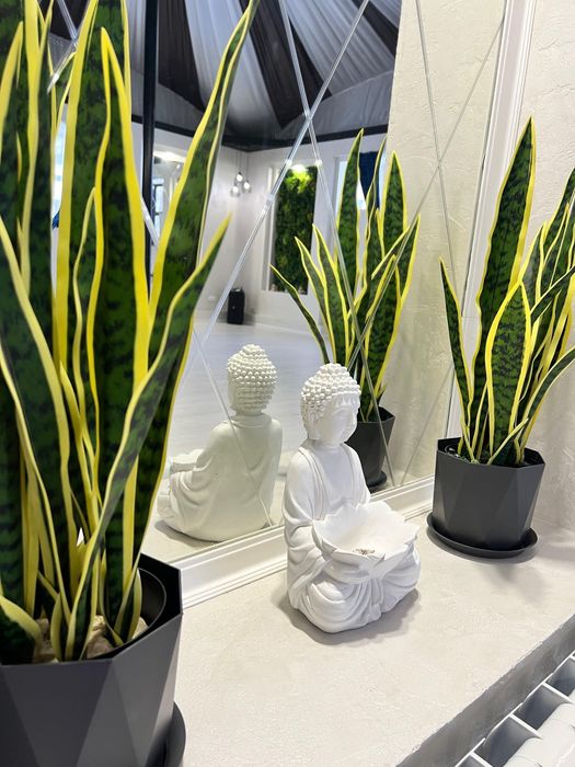 Зал для практик, семинаров, обучений