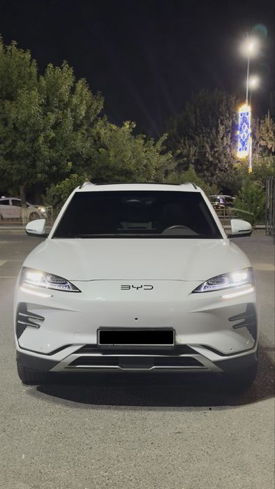 Byd champion 605