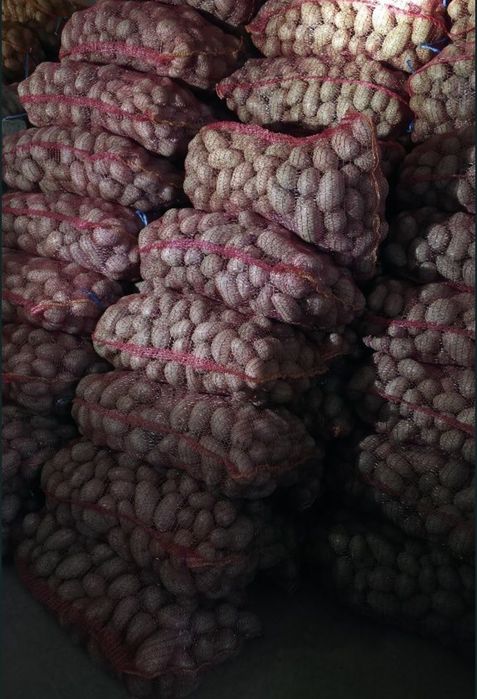 Cartofi de consum rosii