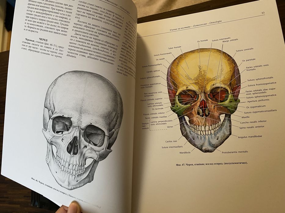 Атласи по анатомия на човека 4 тома
