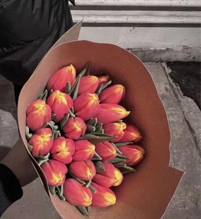 Кызгалдактар тюльпаны