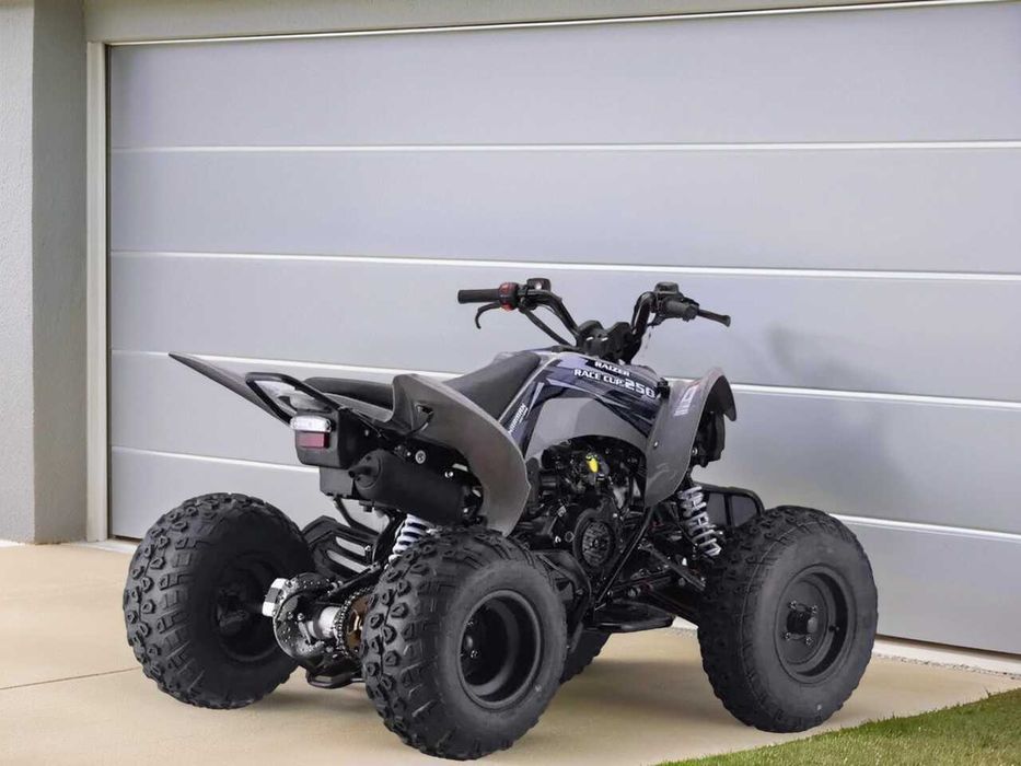 Квадроцикл Sharmax Raizer Race Cup 250