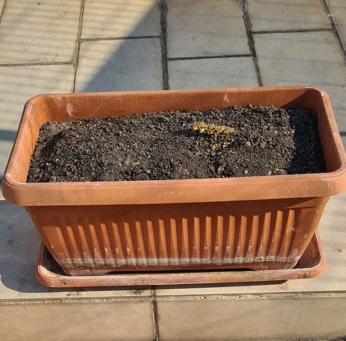 Саксии  за цветя 50/40