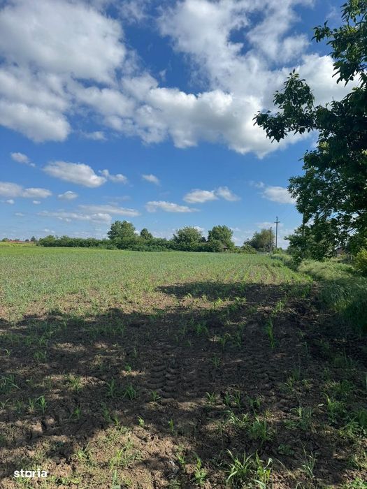 Teren de vanzare – 5.000 mp in comuna Slobozia, judetul Giurgiu