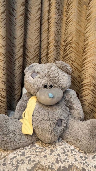 14 Fevralga so'vga qilishga Ayiq