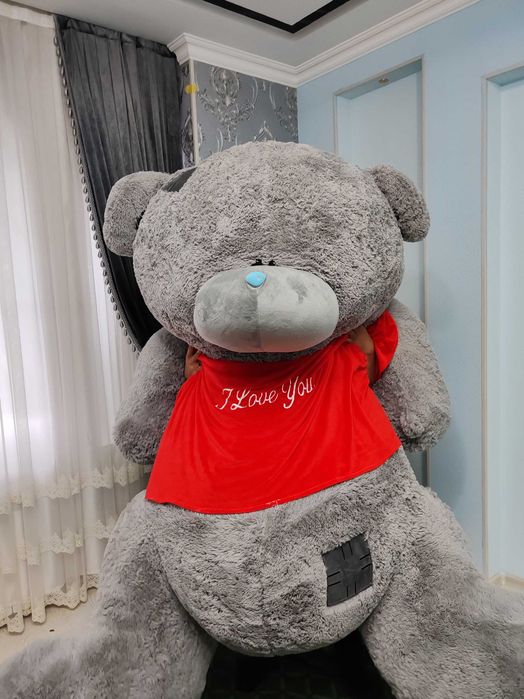 Teddy ayiqchasini eng kattasi