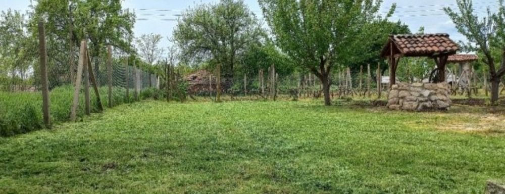 Косене на трева и почистване на дворове