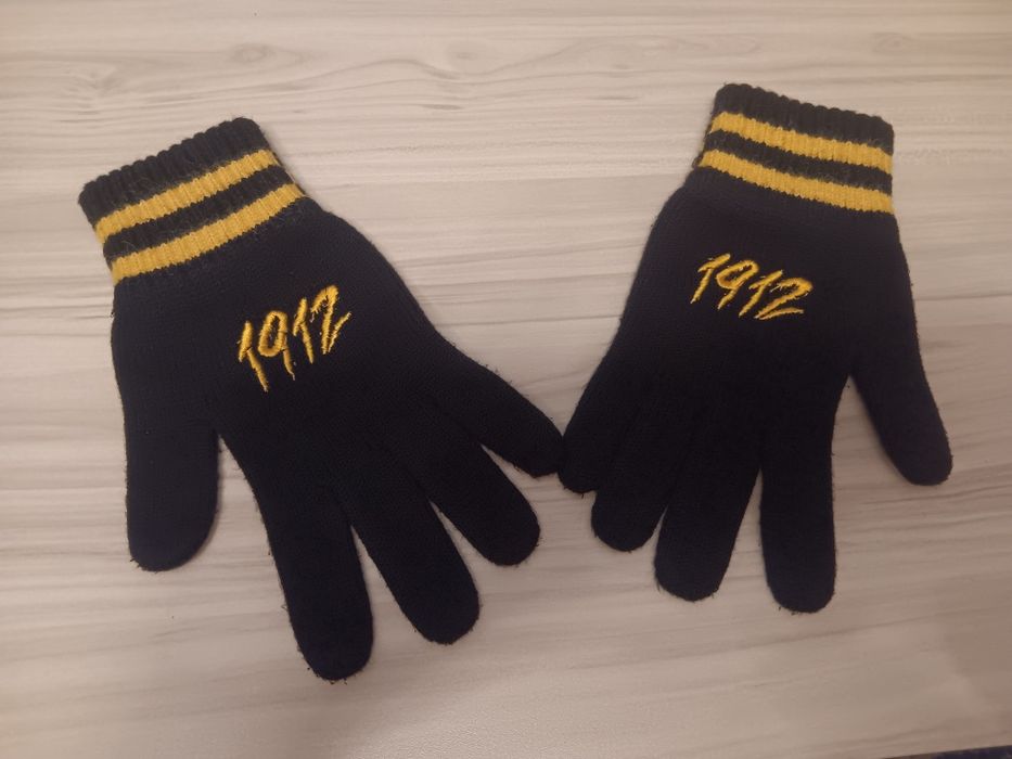 Ръкавици на Ботев Пловдив