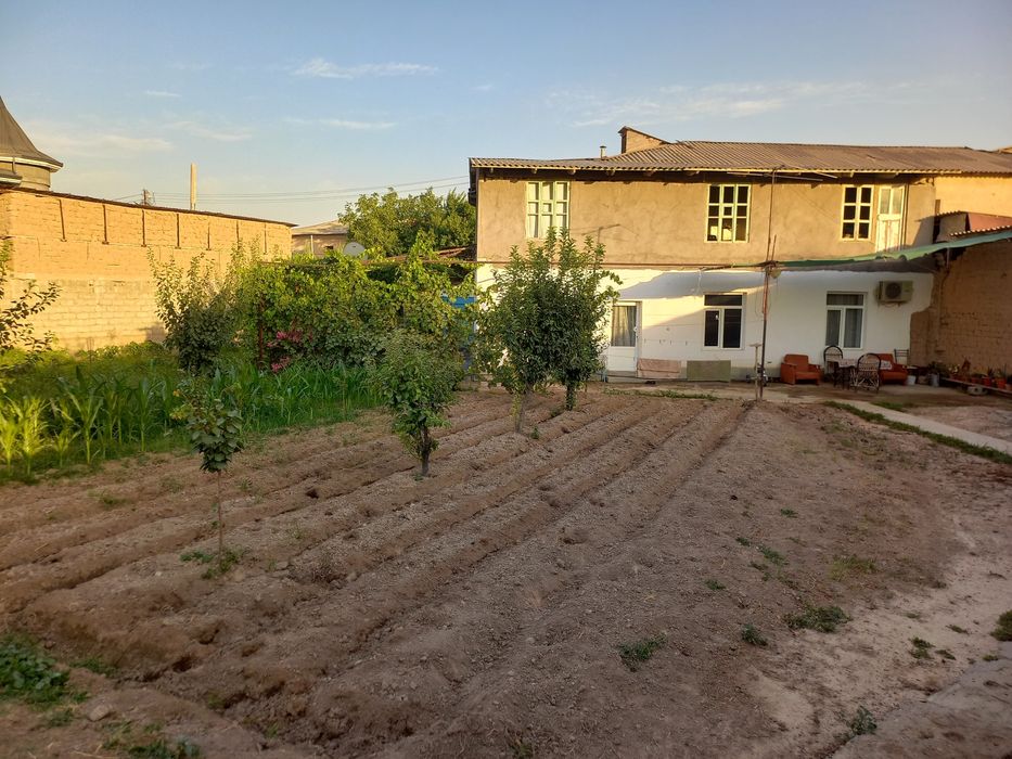 Uy sotiladi Qibray uzumzor mahallasida