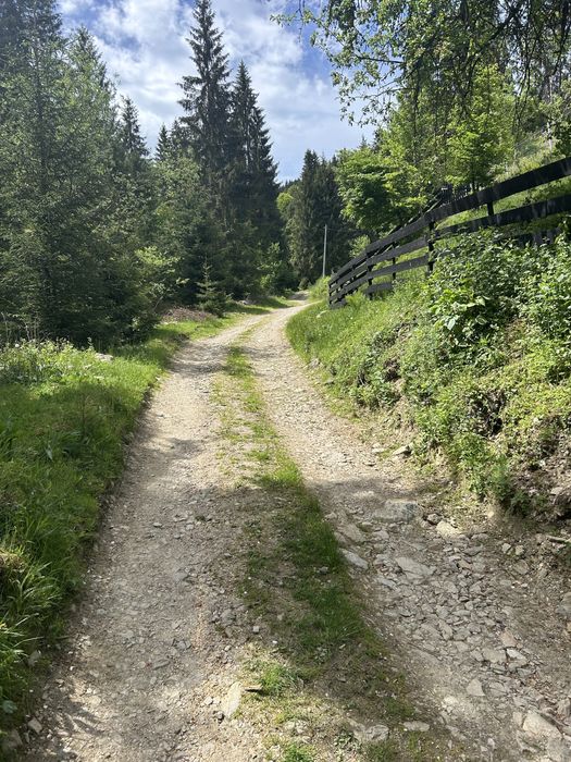 Vand teren comuna Horea