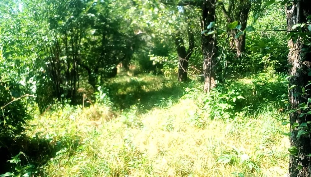 Продам дом в с. Коныр