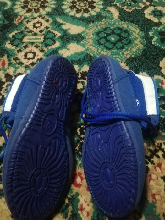 Барсофка кароче.