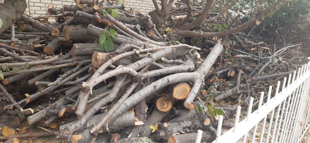 Фруктовые дрова.