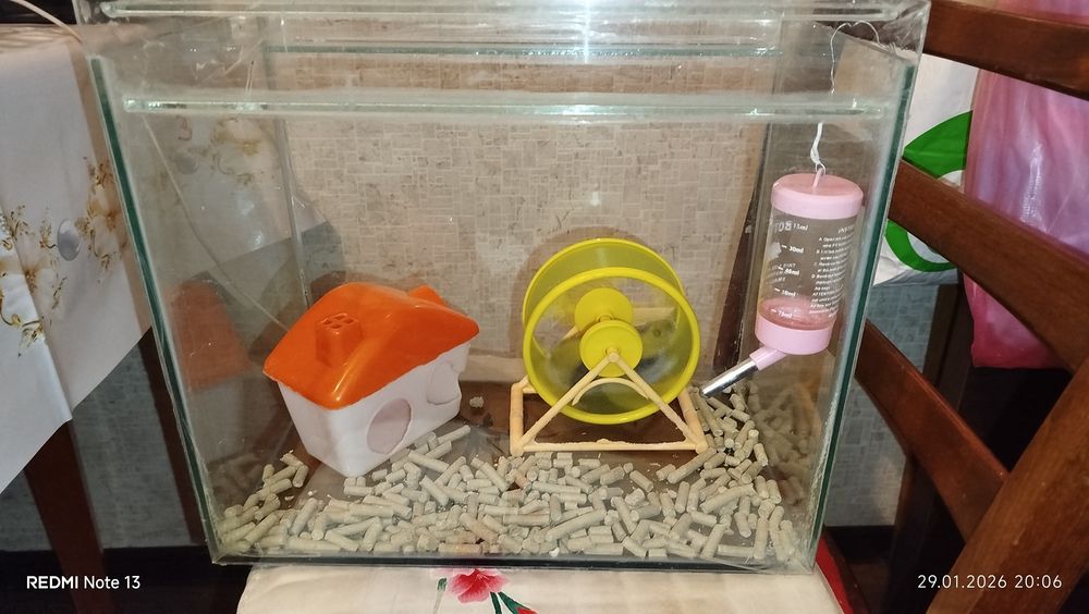 Аквариум набор для грызунов