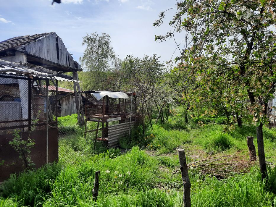Casa de vanzare Stremt