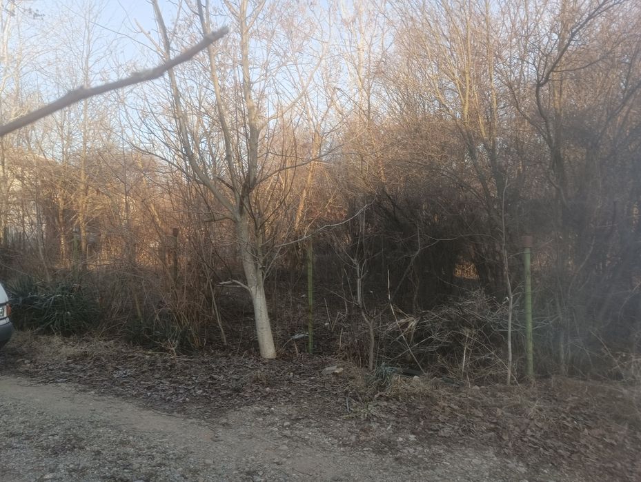 Почистване на парцели дворове и запустели имоти