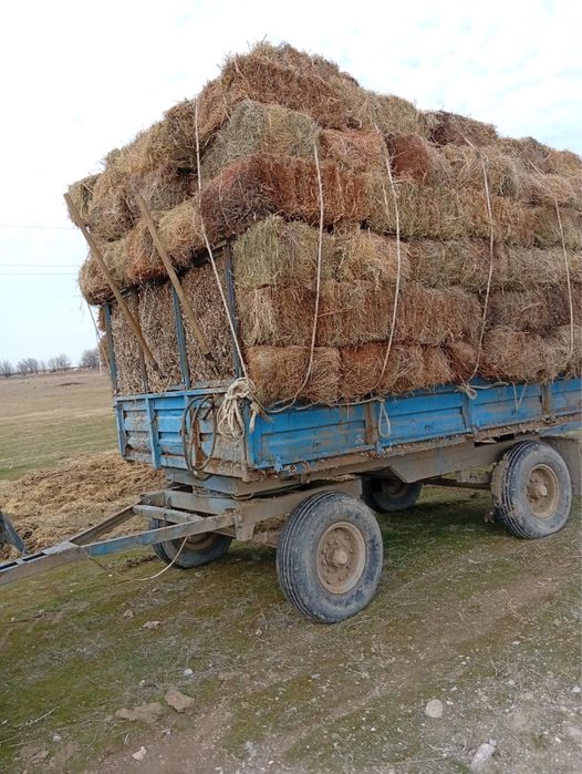 Пресс жантак шөп сатылады