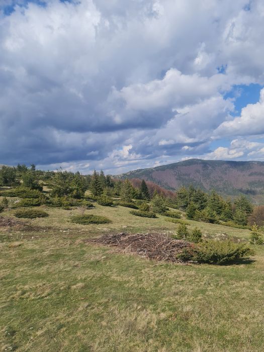 Продава се Земеделски имот в с. Давидково, Област Смолян -  кв.м за 15000 €/дка - Снимка #8