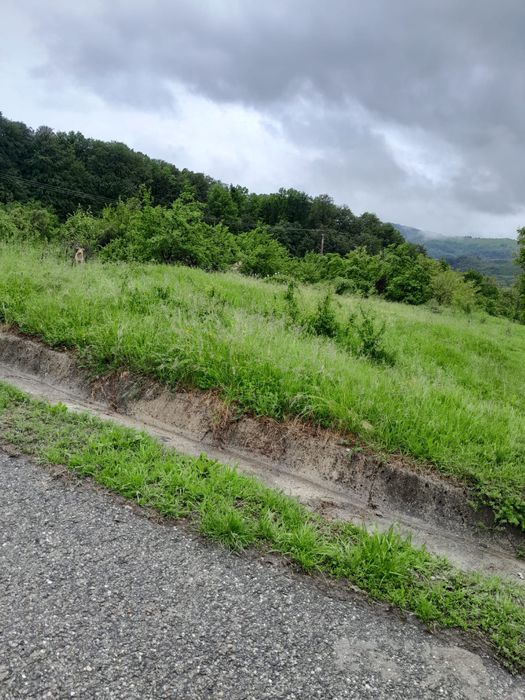 Teren 6229 mp, com Tomsani, jud Valcea