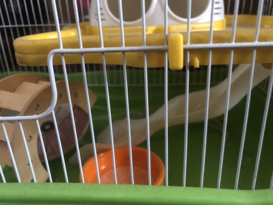 Клетка для хомичков