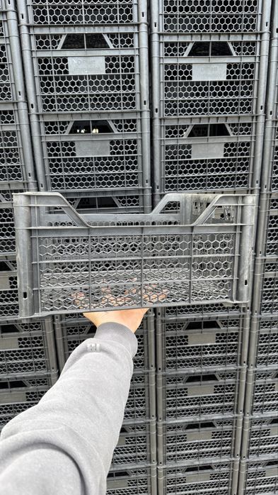 Пластиковые ящики