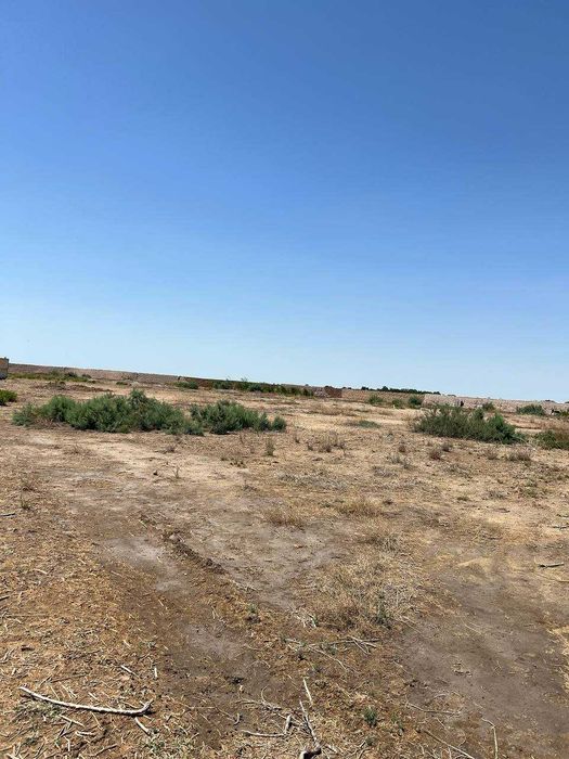 Животноводческая ферма (17.2 га) қорамол фермаси (17.2 ga)