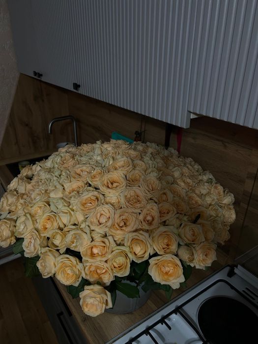 Цветы роза 201штук торг есть