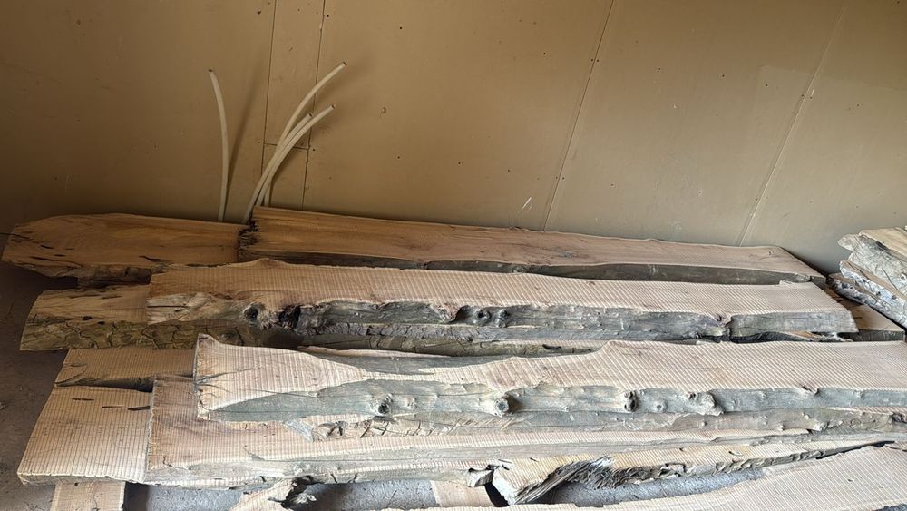 Караағаш. Лес. Сухой лес карагач !