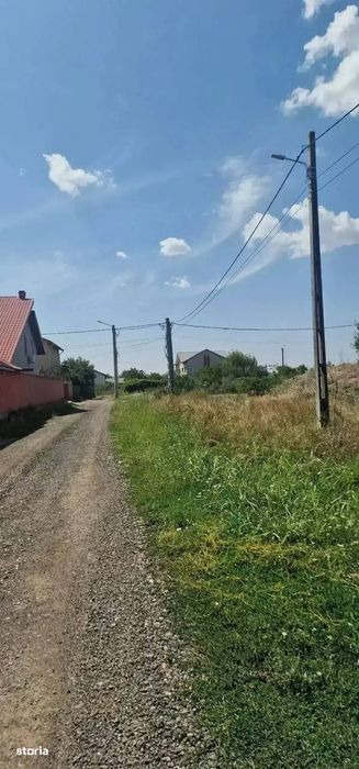 Teren de vânzare in Branesti 1543 mp lângă Pădure  Toate utilitățile