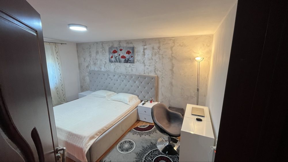 Vila spatioasa+societate comerciala