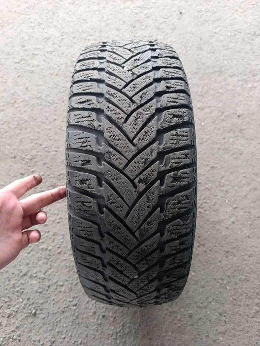 Зимние шины Dunlop 185/60/R14