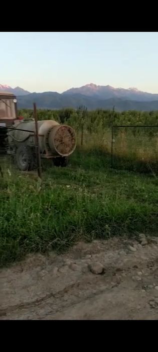 Сад яблоневый Иссык