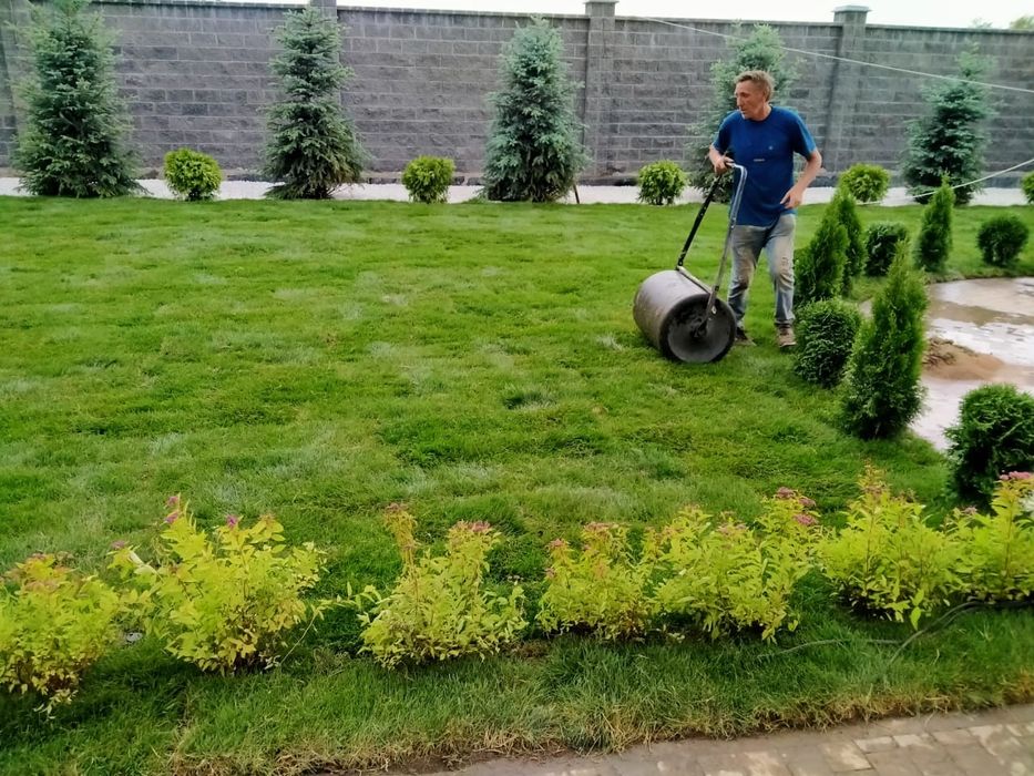 Гозон,укладка посев,