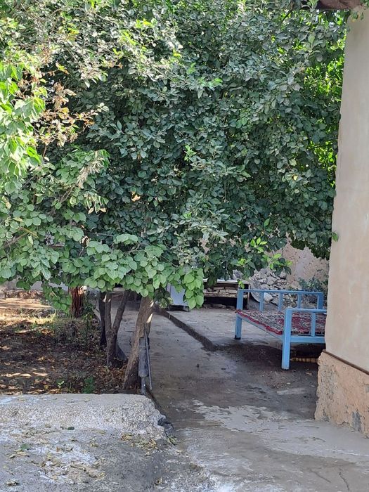 Ховлига ижарага куяман