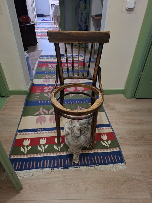 Венский стул под реставрацию