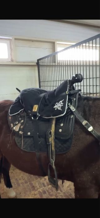 Ер тоқым, ер токым, седло