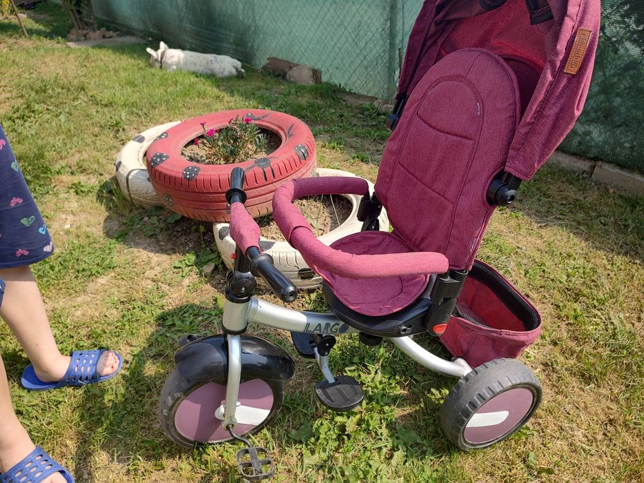 Триколка Chipolino Largo