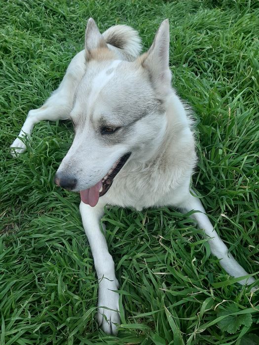 Розыск!!! Прошу помогите найти