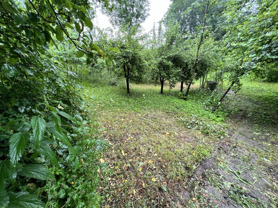 Teren si casa Provita de Jos