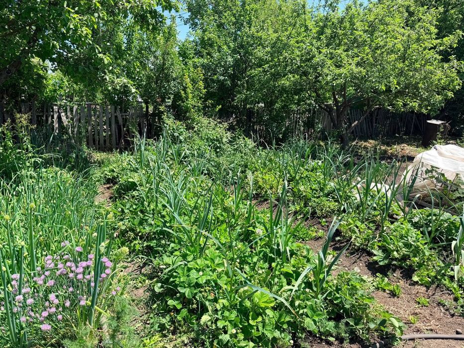 Продам дом с садом и огородом