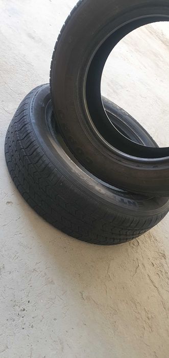 R15 balon Gopro Entro cs1