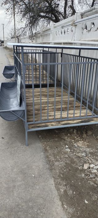 Katak Qòtan Quy Qòy