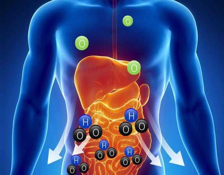 Кислородни Сребърни Йони Алкален Генератор pH9.9 Жива Вода Алкализатор