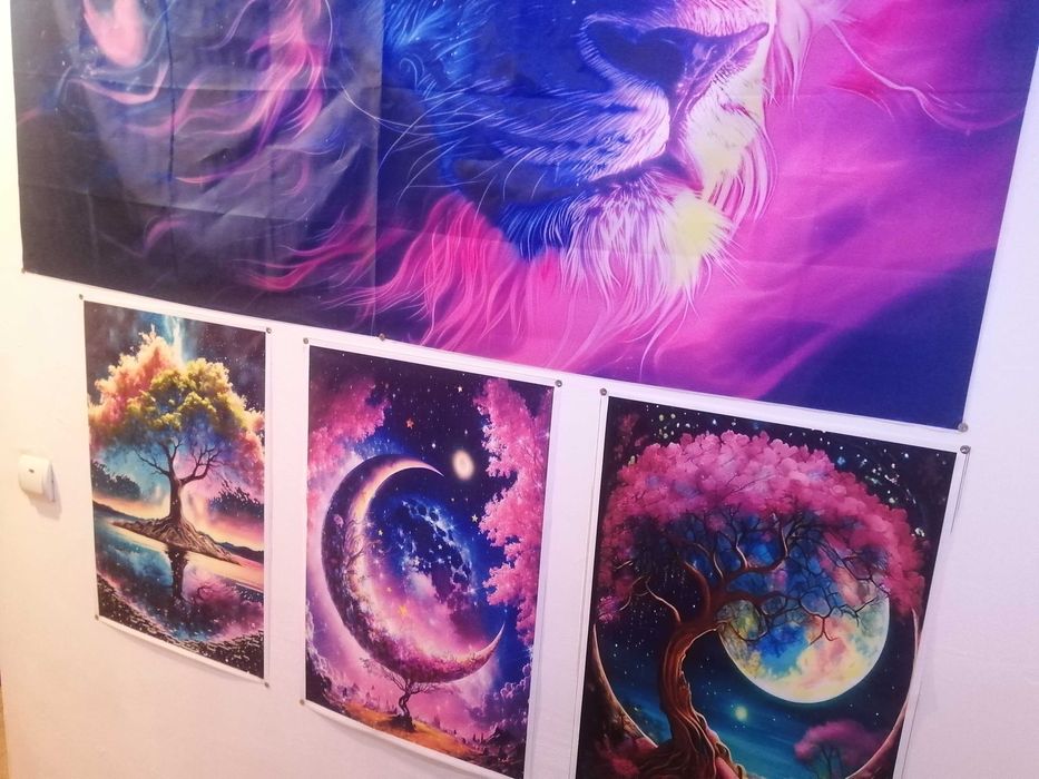 Сдаю комнатные койки