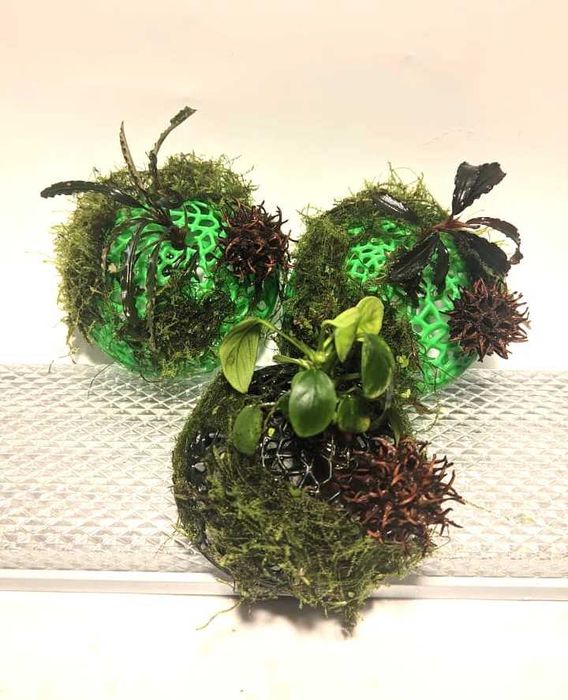 Декорации, домики для аквариумных креветок