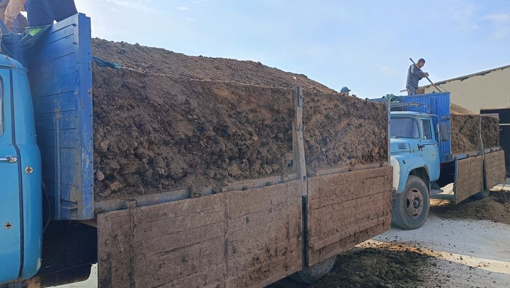 Пори нури гунг куй молдики